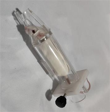 小鼠眼部照射固定器小鼠固定器大鼠固定器筒形鼠固定器
